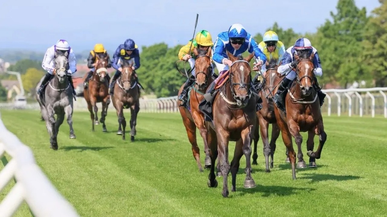 Venetian Sun Sparkles For Burke's Ascot Hopes Image 1