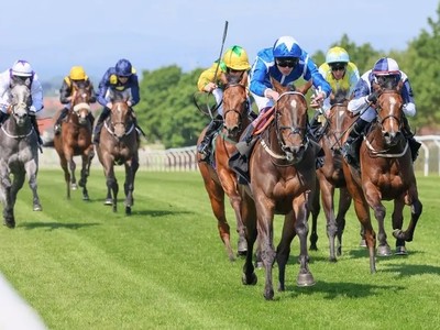 Venetian Sun Sparkles For Burke's Ascot Hopes Image 1