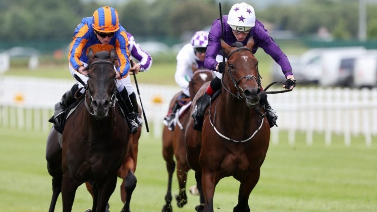 Arizona Blaze Set To Sparkle In Royal Ascot Showdown Image 1