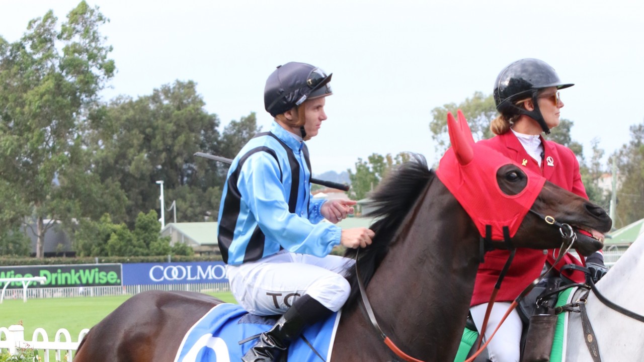 Aussie Speedster Set For Direct Royal Assault Image 1