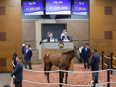Record Breaker As Girvin Filly Tops Midlantic Sale Image 1