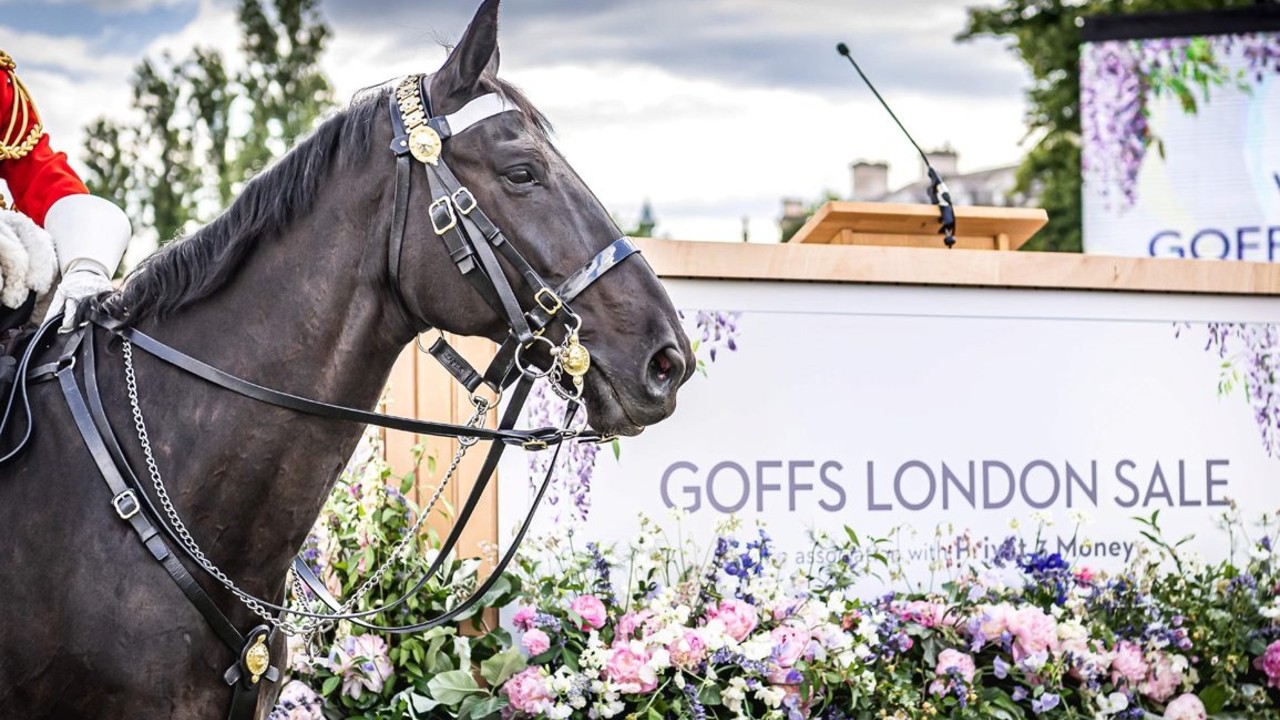 Goffs And France Galop Forge New Alliance Image 1