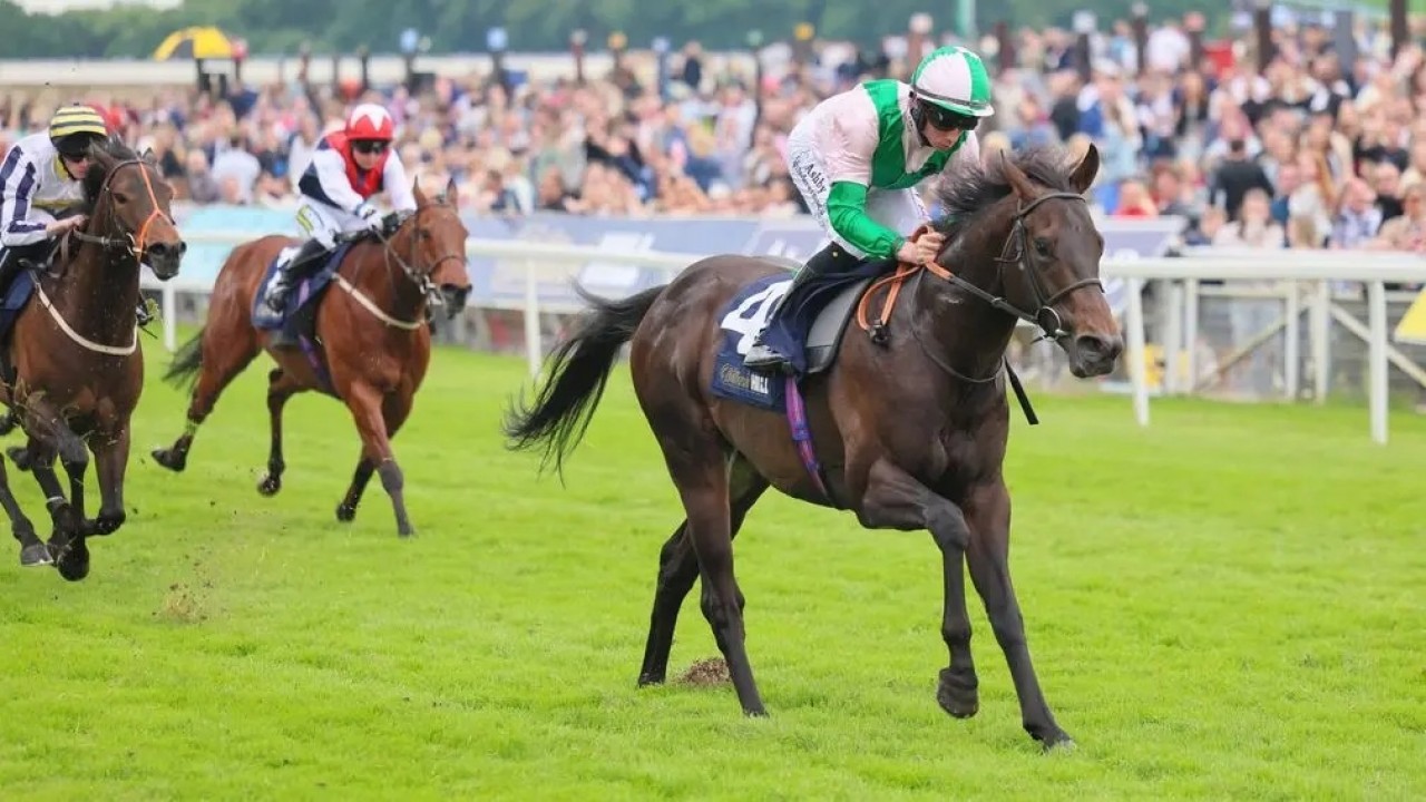 Starlust Set For Temple Prep Before Ascot Image 1