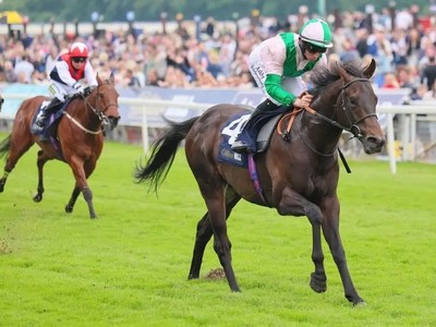 Starlust Set For Temple Prep Before Ascot Image 1