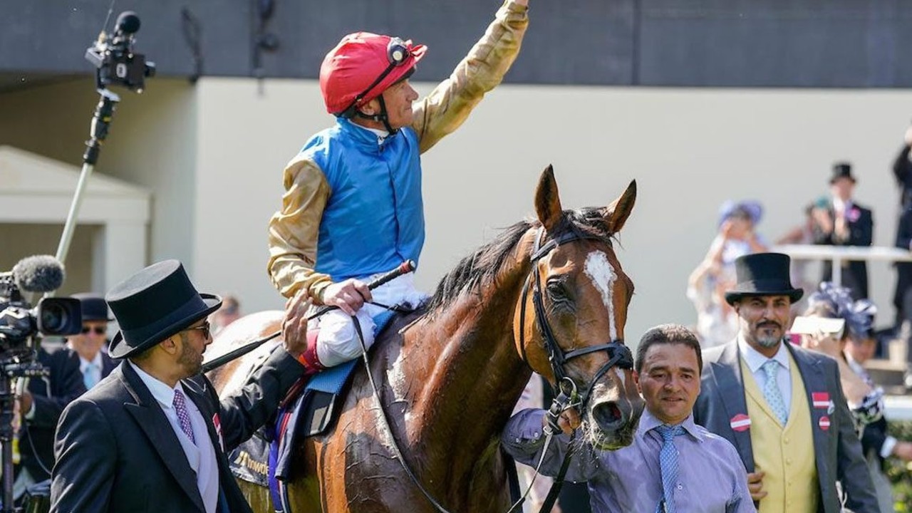 Gosden's Stayer Set For Gold Cup Return Image 1