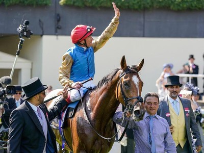Gosden's Stayer Set For Gold Cup Return Image 1