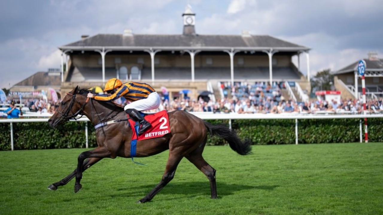 Gemini Primed For Royal Rematch Image 1
