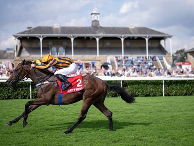 Gemini Primed For Royal Rematch Image 1