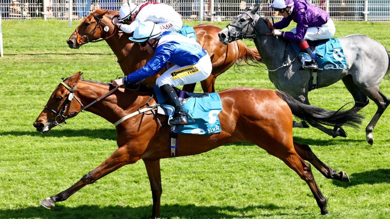Secret Hideaway Targets Royal Ascot Glory Image 1