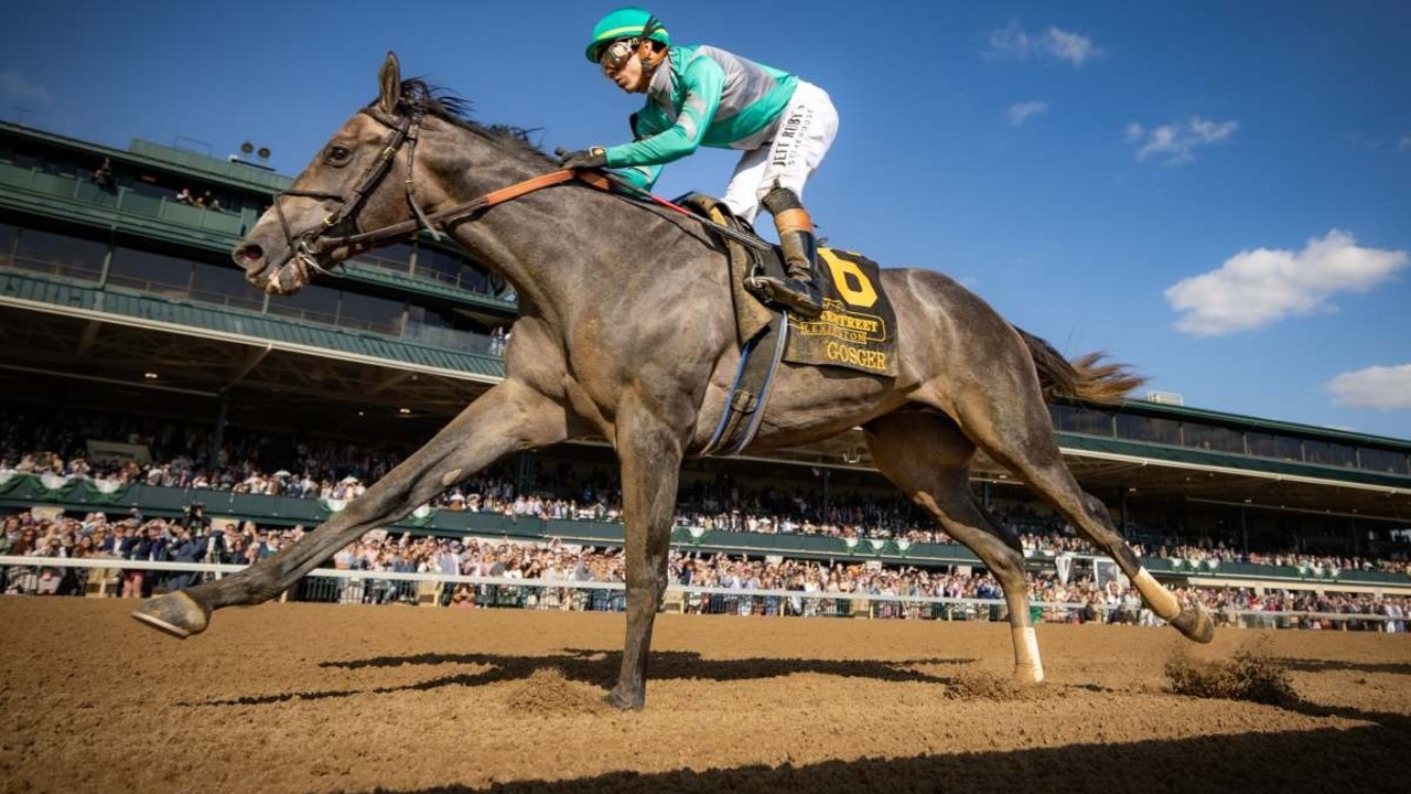 Walsh Shelves Belmont Plan For Preakness Runner-Up Image 1