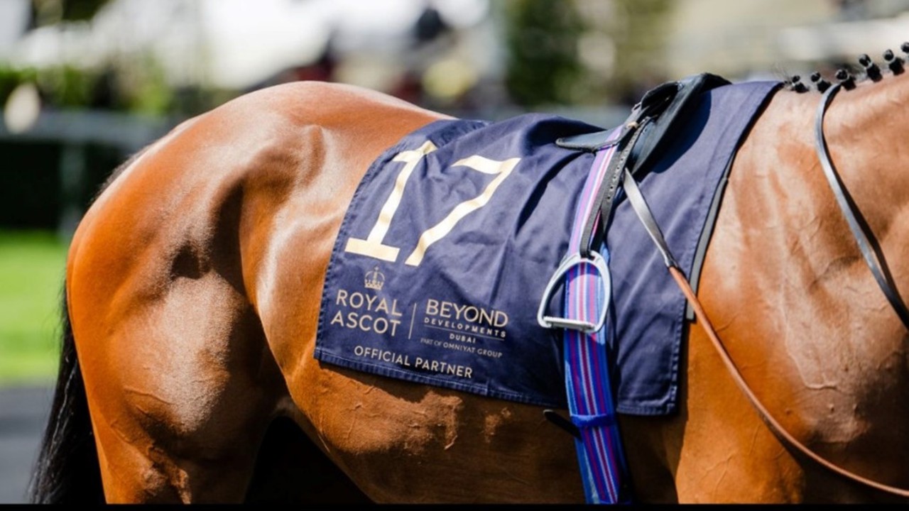 BEYOND Secures Ascot Partnership Deal Image 1