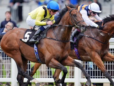 Quddwah Stakes Queen Anne Claim With Paris Victory Image 1