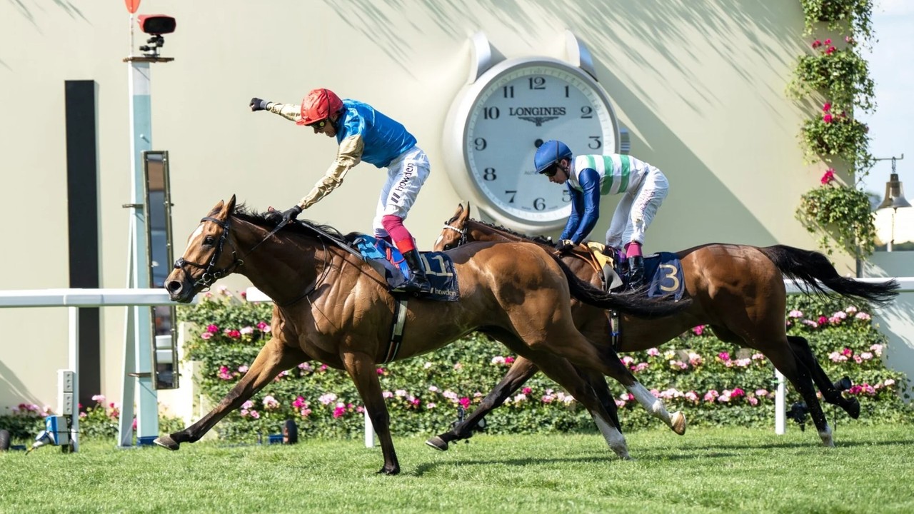 Courage Mon Ami Sidelined From Ascot Again Image 1