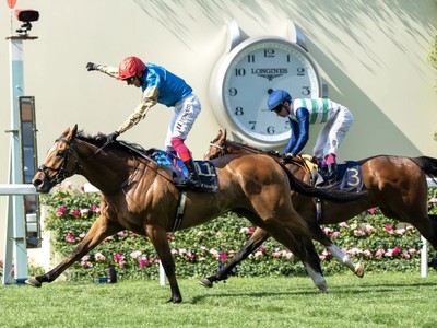 Courage Mon Ami Sidelined From Ascot Again Image 1