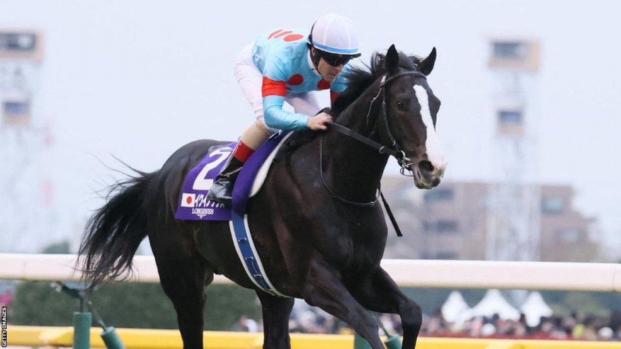 Equinox Progeny Dominate Japanese Select Sale Image 1
