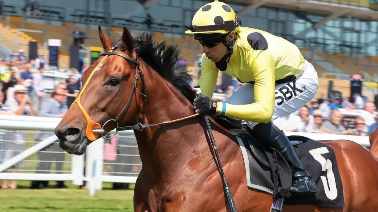 Hannon Eyes Royal Ascot Glory With Rosallion Image 1