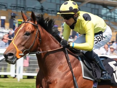 Hannon Eyes Royal Ascot Glory With Rosallion Image 1