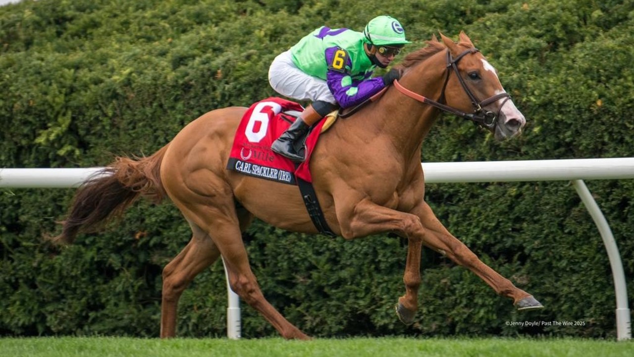 American Champion Joins Australian Stable For Royal ... Image 1