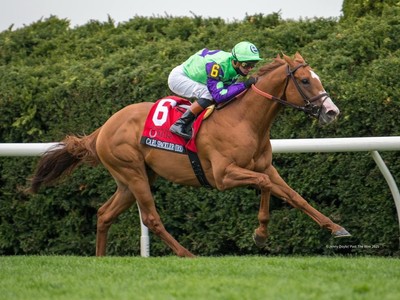 American Champion Joins Australian Stable For Royal ... Image 1