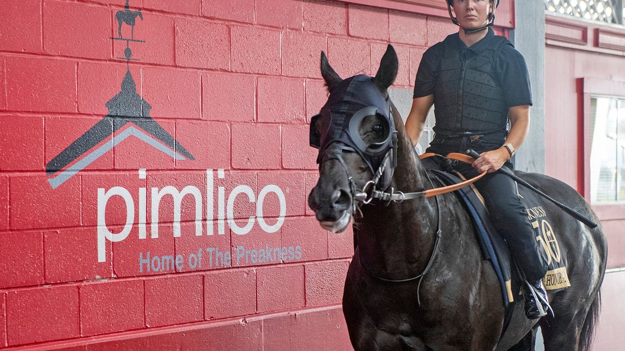 Belmont Stakes Contenders Finalise Preparations Image 1