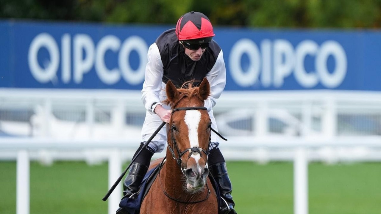 Kyprios Bows Out After Glorious Career Image 1