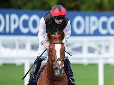Kyprios Bows Out After Glorious Career Image 1