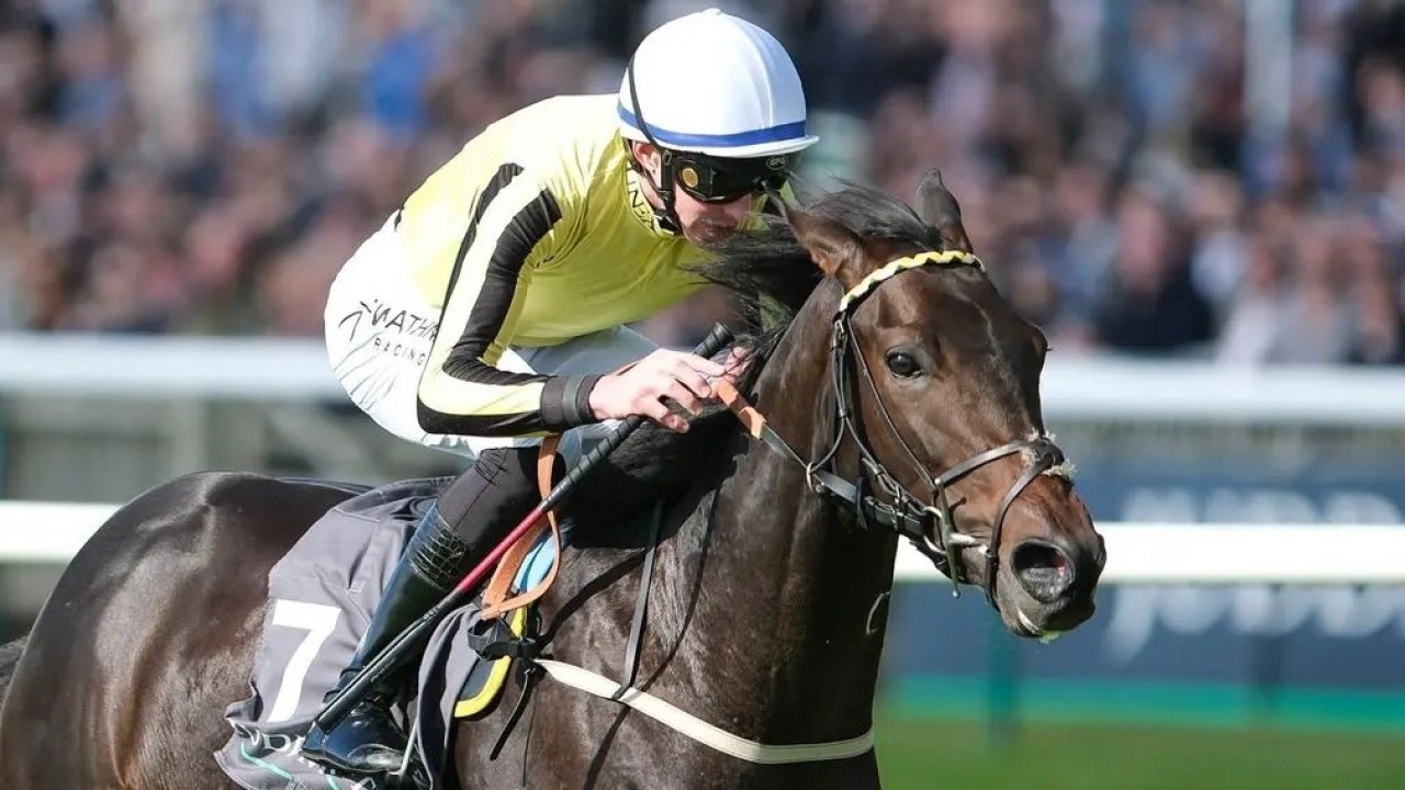 Hawkeye Eyes Royal Ascot Over Derby Glory Image 1