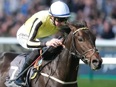 Hawkeye Eyes Royal Ascot Over Derby Glory Image 1