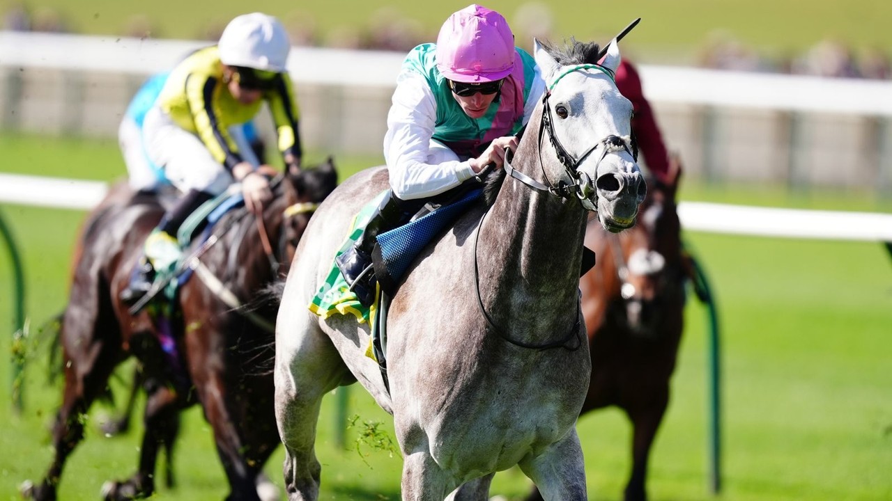 Royal Ascot Beckons For Irish Classic Hero Image 1