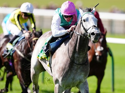 Royal Ascot Beckons For Irish Classic Hero Image 1