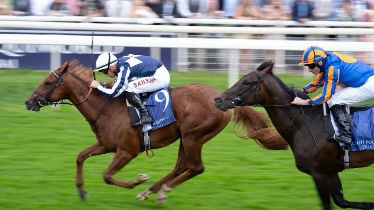 Lake Forest Eyes Royal Ascot Return Image 1