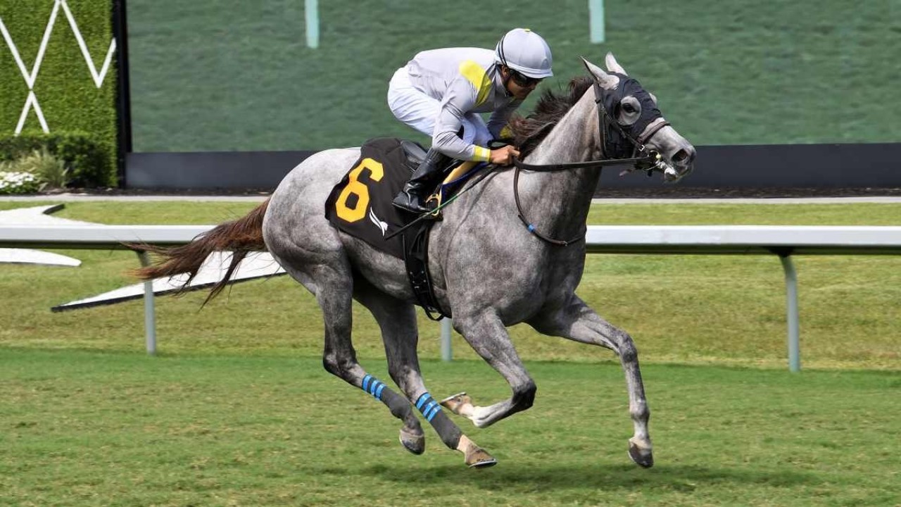 Biancone Filly Eyes Royal Ascot Glory Image 1