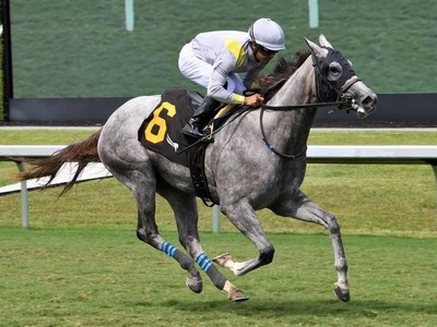 Biancone Filly Eyes Royal Ascot Glory Image 1
