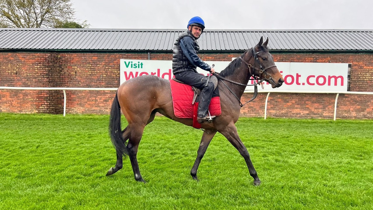 Adrian Nicholls: From Yorkshire To Royal Dreams At Ascot Image 3