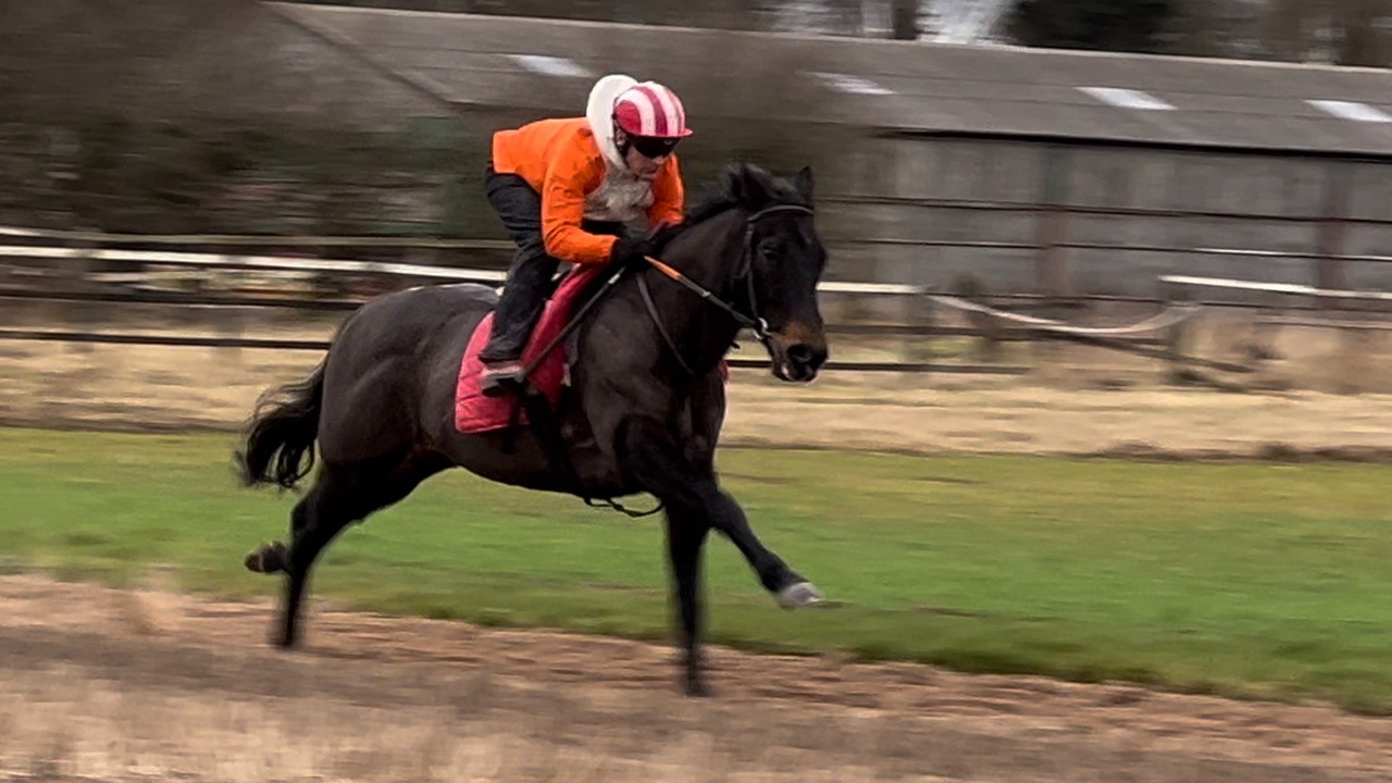 Adrian Nicholls: From Yorkshire To Royal Dreams At Ascot Image 2
