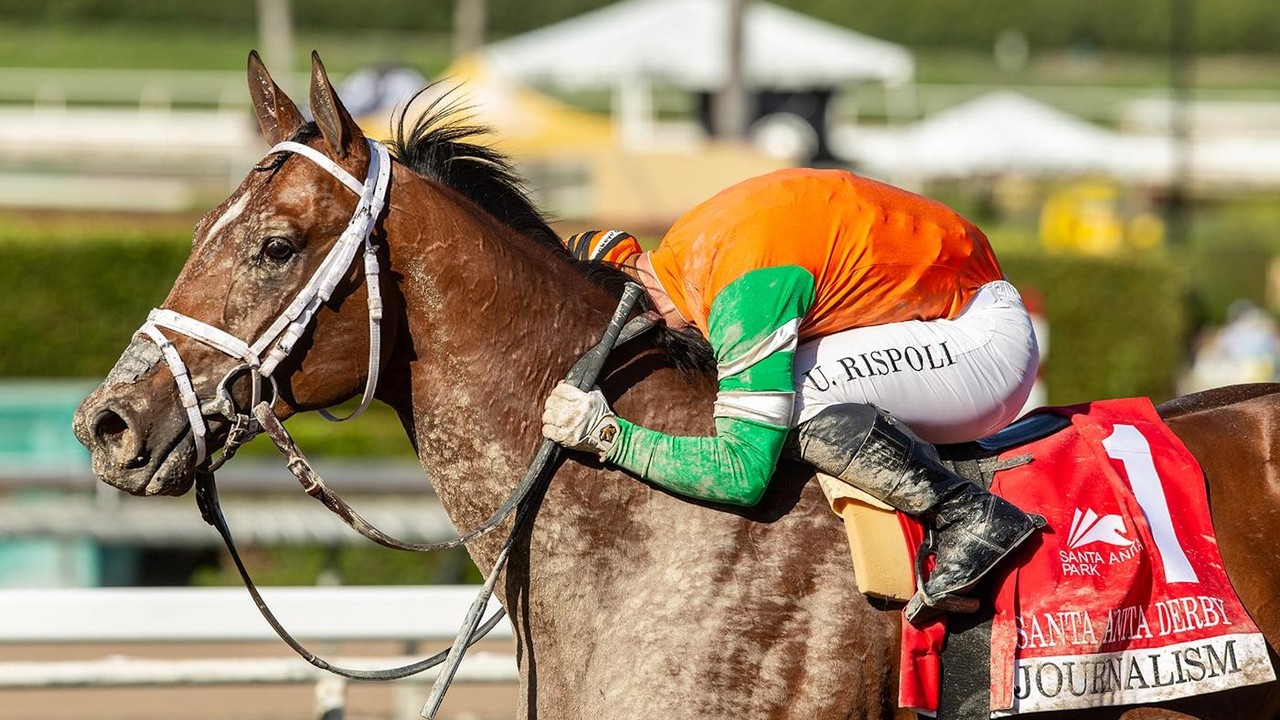 Journalism Defies Logic At Pimlico As Wellman Eyes Belmont ... Image 3