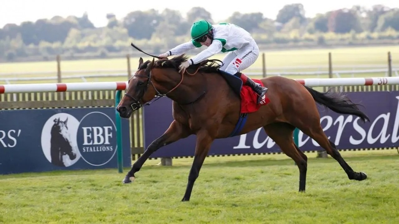 Patience Pays Off As Menuisier Targets Royal Ascot With ... Image 1