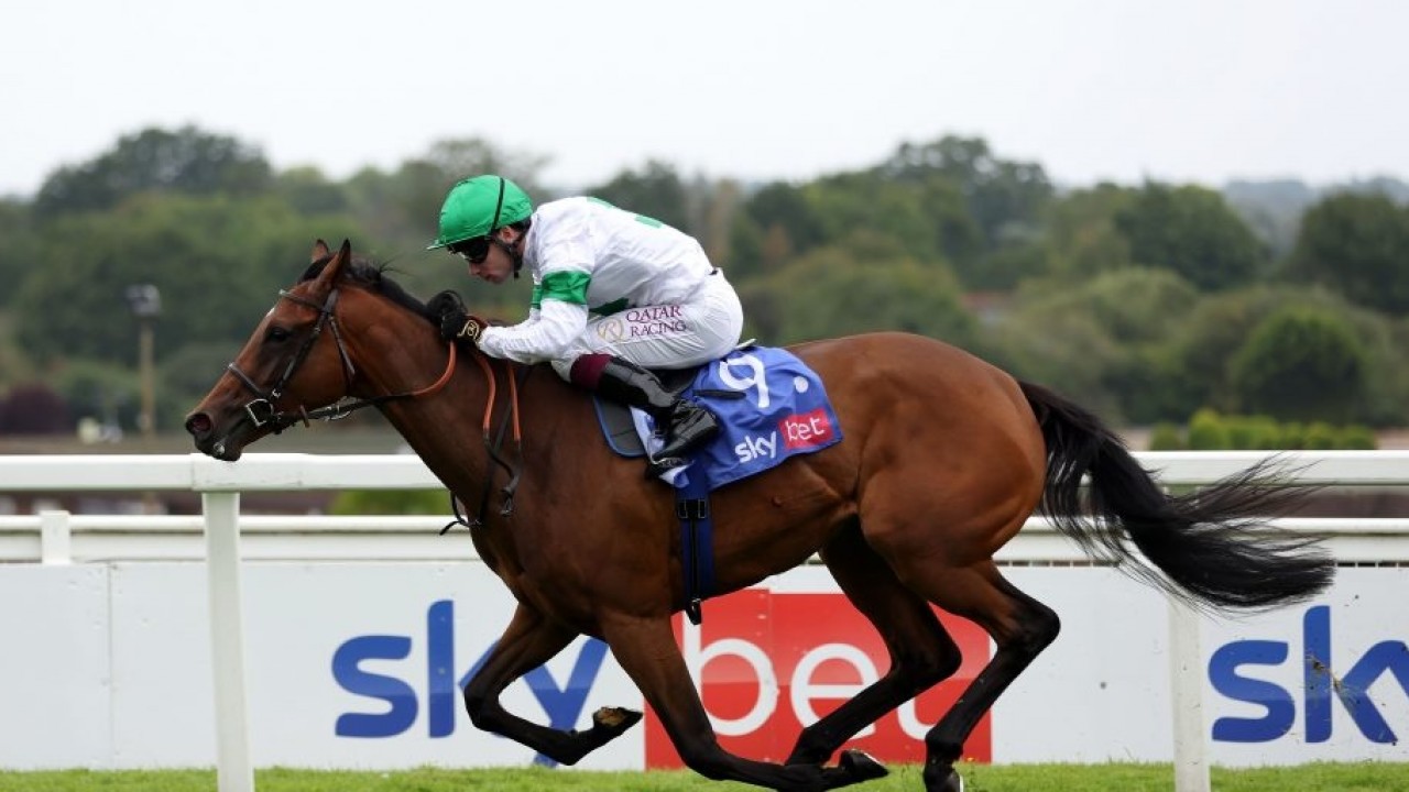Patience Pays Off As Menuisier Targets Royal Ascot With ... Image 2