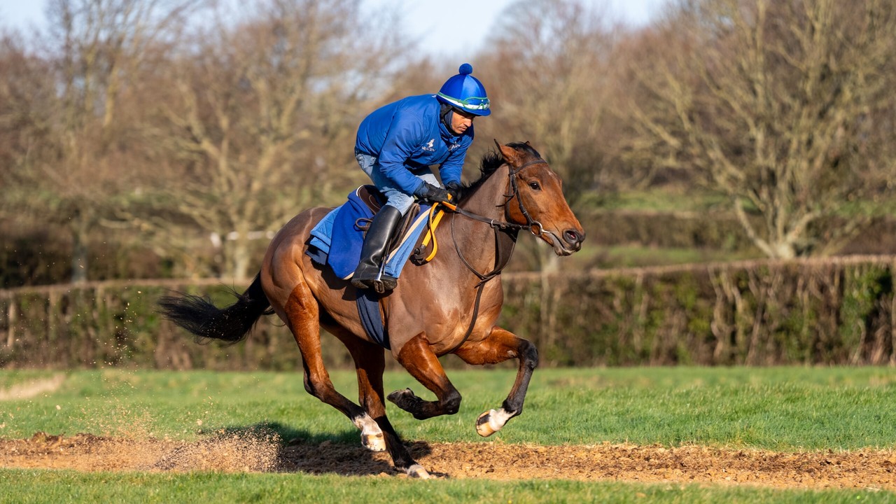 Patience Pays Off As Menuisier Targets Royal Ascot With ... Image 3