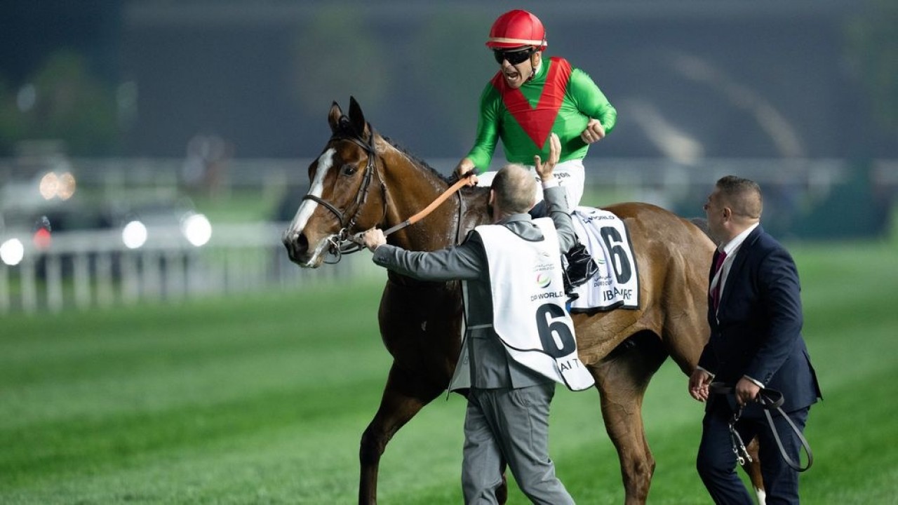 Reynier Banking On Facteur Cheval And Lazzat For Royal ... Image 3