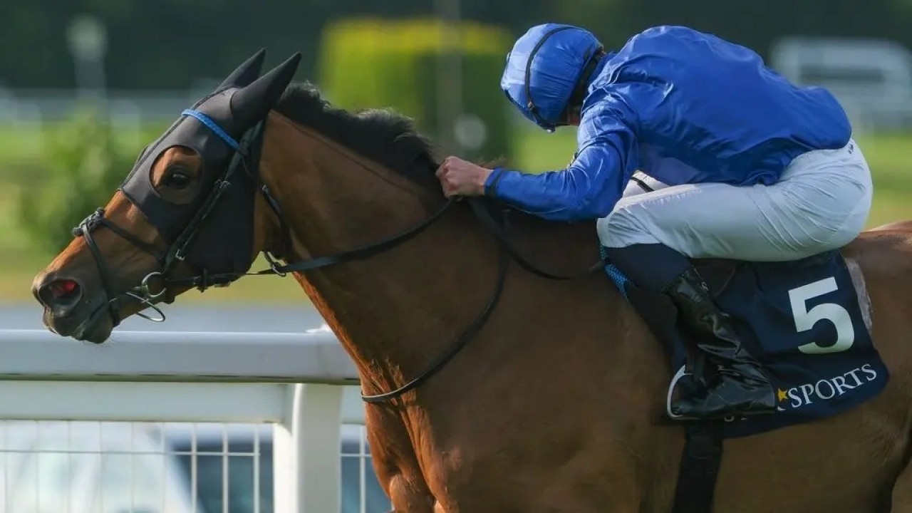 Trawlerman Eyes Gold Cup Success After Dominant Victory Image 1