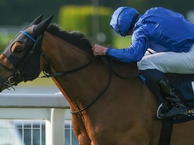 Trawlerman Eyes Gold Cup Success After Dominant Victory Image 1
