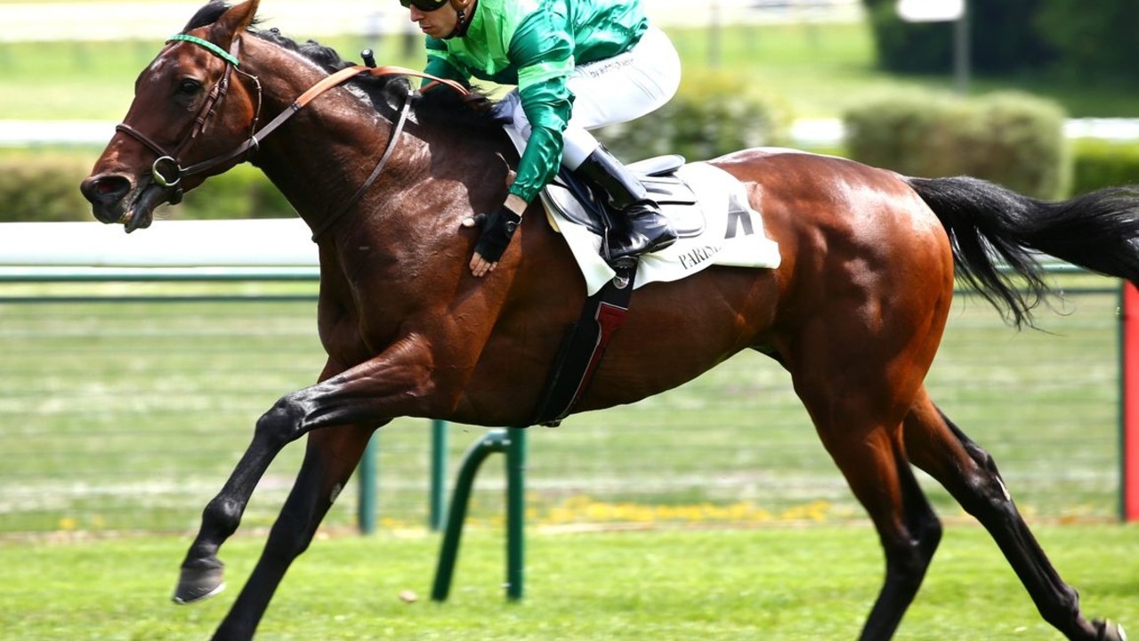 Epic Poet Targets Royal Ascot After York Glory Image 1
