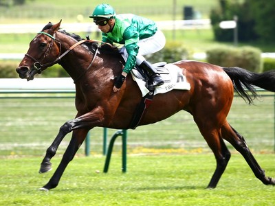 Epic Poet Targets Royal Ascot After York Glory Image 1