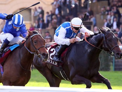 Anmaat Ready For Royal Ascot Rematch Image 1