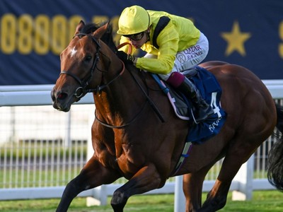 Almaqam Upsets Unbeaten Ombudsman, Royal Ascot Next Image 1