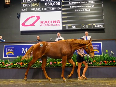 Quality Catalogue Promises Exciting National Sale Image 1