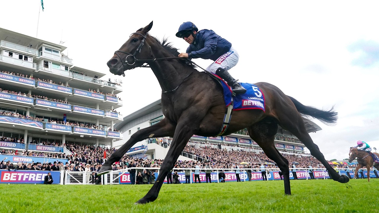 Lambourn Turns Epsom Derby Into O'Brien Procession Image 1