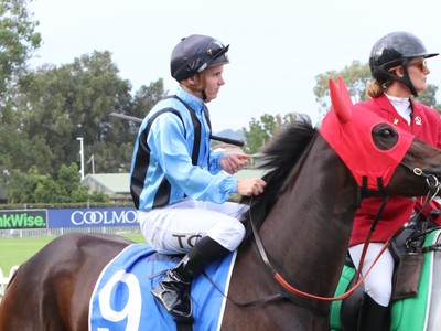 Asfoora Set For Blinkers Debut At Ascot Image 1