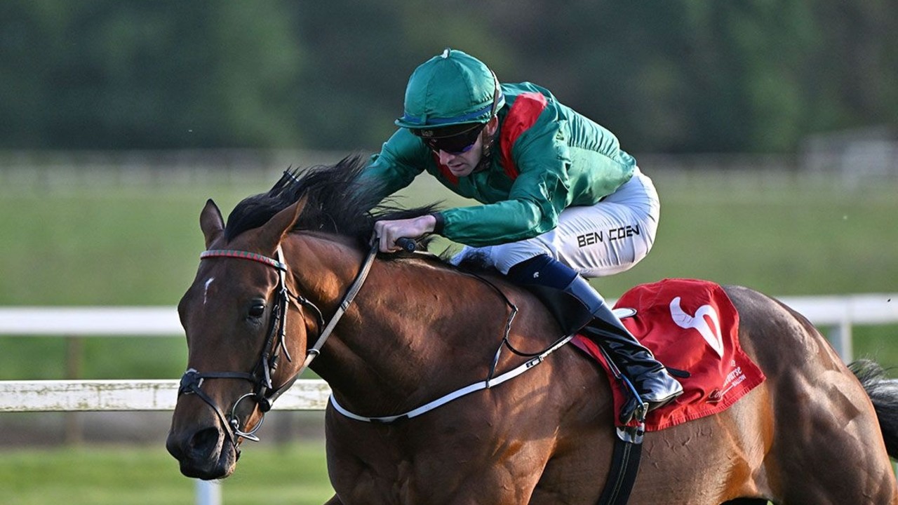 Murtagh Colt Targeting Royal Ascot Prize Image 1